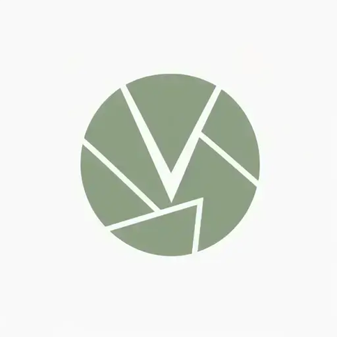 ImageVivid logo