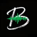 BeatViz logo