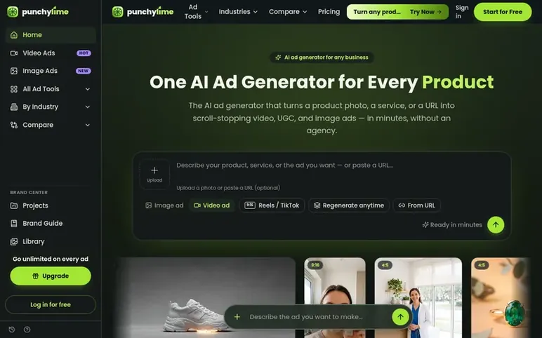 Screenshot of the Punchylime homepage